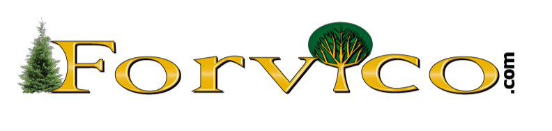 Forvico inc.